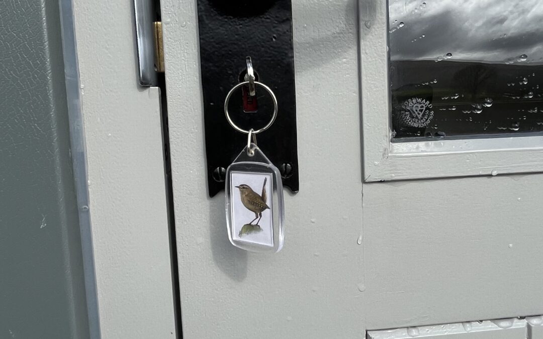 Introducing Wren Luxury Shepherd Hut